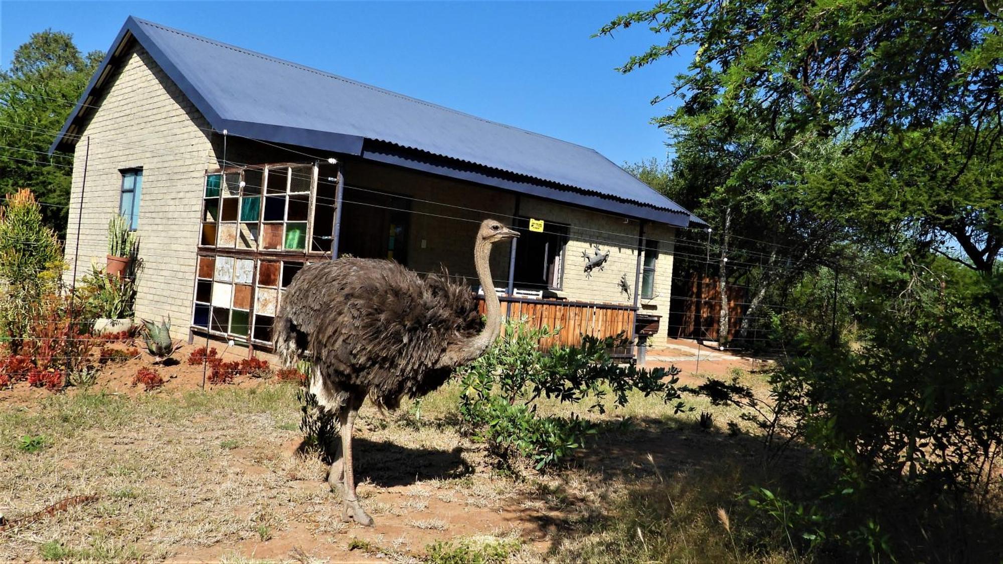 Marulani Bush Lodge Klipdrift Eksteriør billede